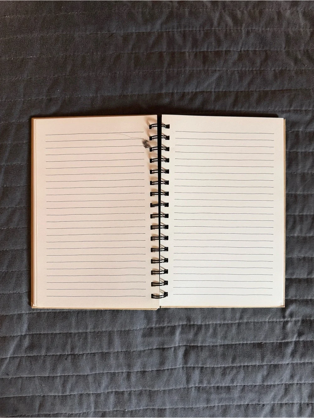 Rae Dunn Notebook - Travel